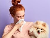 شركة أمريكية تطلب موظفا لشم أنفاس الكلاب مقابل 25 دولارا فى الساعة