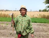 فى عيد العمال.. "المرأة الريفية" نساء لا تعرف المستحيل.. قصة كفاح "صباح" صاحبة الـ67 عاما فى غيطان الشرقية.. تعزق فى الأرض بالفأس.. تحصد سنابل الخير بأجر يومى من أجل الرزق الحلال لتربية أبنائها.. وأمنيتها الحج