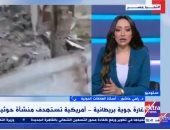 أستاذ علاقات دولية: 60% من السفن غيرت طريقها بسبب هجمات الحوثيين