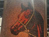 شاهد أكبر لوحة فنية فى العالم مكونة من نواة التمر بمعرض أبو ظبى للكتاب