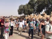 معابد ومقابر الأقصر تشهد إقبالا سياحيا كبيرا من حول العالم.. صور