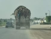 محافظة الجيزة تضبط سيارة نقل مخلفات تسببت فى تناثر القمامة على الطريق