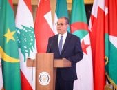 وزير الخارجية يعقد لقاءات عدة على هامش اجتماع "التعاون الإسلامي" فى تركيا