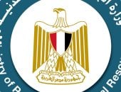 بحد أقصى 2000 جنيه.. أهم المستندات للحصول على تعويض حال استبدال طلمبة البنزين