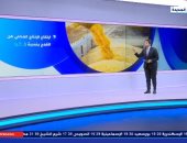 إكسترا نيوز تعرض تقريرا عن جهود تعزيز الإنتاج المحلي من القمح