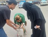 بيطرى الإسماعيلية يتابع حملاته المكثفة لتحصين الكلاب الضالة ضد مرض السعار