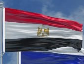 نائب بالشيوخ: مصر تواصل دورها التاريخى فى إرساء السلام بالمنطقة