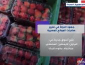 "إكسترا نيوز" تستعرض جهود الدولة فى تعزيز صادرات الموالح.. فيديو