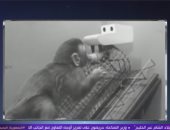أحمد فايق يروي تجارب العلماء لمعرفة السلوك الإنساني: "الابن يحتاج حضن أبويه"
