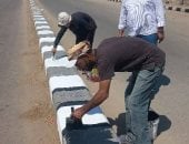 رفع 1200 طن قمامة وزراعة أشجار مثمرة بمركز الحسينية فى الشرقية خلال شهر