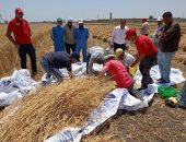 بحوث الهندسة الزراعية يختبر أحدث آلات الحصاد الذكي بالتعاون مع هيئة التعاون الدولي الإيطالية