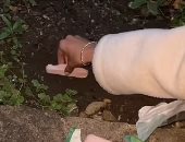 دفن الهوت دوج قبل حفل زفاف ببريطانيا أغرب تريندات التيك توك.. اعرف قصته 