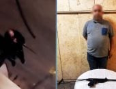الداخلية تضبط المتهم بإطلاق أعيرة رش على الكلاب.. فيديو