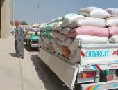 محافظ الجيزة: استلام 66 ألف طن قمح بمراكز التوريد والتخزين منذ بداية الحصاد