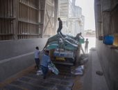 خير بلدنا يتدفق.. صوامع الإسكندرية تواصل استقبال القمح المحلي