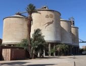 القمح في حقول مصر.. موسم خير وحصاد ينعش جيوب المزارعين بسوهاج.. الأرض تعطي بسخاء والدولة تفتح الأبواب.. مليار جنيه قيمة توريد 82 ألف طن.. ومنع خروج سيارات الأقماح خارج حدود المحافظة.. صور