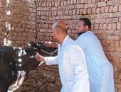 "الطب البيطرى" تنتهى من تحصين 40 ألف رأس من الماشية.. صور