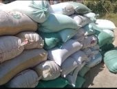 ضبط 50 طن قمح بمخزن حبوب غير مرخص بالباجور في المنوفية