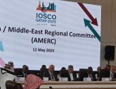 رئيس الرقابة المالية: حلول الاستدامة لم تعد ترفا تنظيميا بل ضرورة اقتصادية