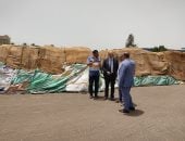 توريد 131 ألفًا و624 طن قمح للشون والصوامع فى كفر الشيخ.. صور