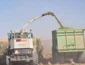 الفرافرة مملكة الغلال والزيتون ومورد خيرات الطبيعة فى قلب الصحراء الغربية.. ثاني أكبر مراكز الوادي الجديد إنتاجا للبطاطس والقمح والمحاصيل الطبية والعطرية.. وأهم مقصد لعشاق سياحة السفاري والسياحة البيئية.. صور