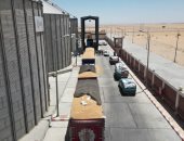 فرحة الخير في الوادي الجديد.. صوامع المحافظة تستقبل بشائر القمح