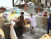 ذهب سوهاج الأصفر.. موسم حصاد القمح يبهج المزارعين وينعش الأسواق