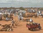 نزوح أكثر من 7 آلاف أسرة من مدينتي النهود والخوى غرب كردفان بالسودان