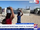 أستاذ علوم سياسية: هناك ضحايا يسقطون يوميا فى غزة نتيجة نقص المواد الغذائية والطبية