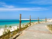 طقس اليوم الخميس بمطروح مائل للحرارة غائم جزئياً واستقرار البحر.. حار على سيوة