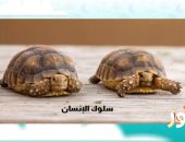 "نور" المذاع على قناة الناس يعلم الأطفال: تغير المناخ يهدد بعض الحيوانات بالانقراض