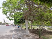تعرف على حالة الطقس اليوم الأحد 18-5-2025 فى الإسماعيلية.. فيديو