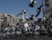 "حمام الحمى" بالحرم يخطف الأنظار فى بث مباشر عبر "تليفزيون اليوم السابع"