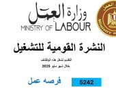 وزارة العمل: 5242 فرصة عمل جديدة فى 50 شركة خاصة بـ8 محافظات