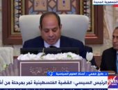 طارق فهمى: الرئيس السيسى نوه فى قمة بغداد على ما تواجهه القضية الفلسطينية من تحديات ومخاطر