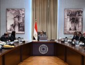 رئيس الوزراء يتابع جهود فض التشابكات المالية بين بنك الاستثمار والجهات الحكومية