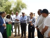 محافظ قنا ومساعد وزير التنمية ووفد البنك الدولي يتفقدون تكتل النباتات الطبية