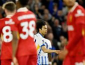 ملخص وأهداف مباراة برايتون ضد ليفربول 3-2 بمشاركة صلاح فى الدورى الإنجليزى