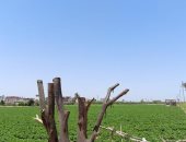 تعرف على حالة الطقس اليوم الإثنين 19-5-2025 فى الإسماعيلية.. فيديو