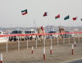 سباقات الهجن فى أبو ظبى تراث أعاد مجده الشيخ زايد قبل 45 عاما.. أقدم رياضة عربية تجمع ملاك الإبل وعشاقها فى "عاصمة الميادين" بالوثبة.. سيارة وسيف ذهبي و5 ملايين لأول الفائزين.. صور