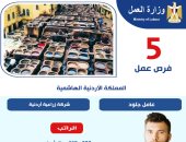 وزارة العمل تعلن فرص عمل فى الأردن بمرتبات تصل إلى 320 دينارا شهريا