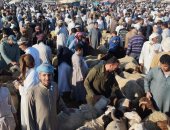 لو ناوى تضحى.. اعرف أسعار خراف العيد بسوق العامرية بالإسكندرية.. فيديو