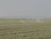 غرامات تصل للمليون.. عقوبات صارمة على مخالفى استخدام أراضى الدولة