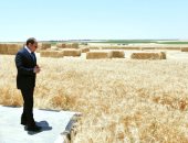 الرئيس السيسى يشهد موسم حصاد القمح2025 ويكشف: تكلفة توصيل الكهرباء لـ2.2 مليون فدان عشرات المليارات.. مستهدف إضافة 800 ألف فدان للرقعة الزراعية سبتمبر.. ويقترح استبدال الدعم النقدي المقدم لبعض الأسر برؤوس ماشية