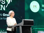 وزيرة البيئة تدعو للعمل المشترك لتنفيذ مشروعات خضراء قابلة للتطوير محليا وأفريقيا