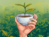فى يومه العالمى.. "شاى وكاريكاتير" احتفالية ثقافية وفنية بمكتبة مصر العامة