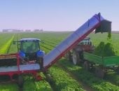 كيف تحولت الشهور القبطية إلى دستور يحكم غيطان مصر؟.. 13 فصلًا من الحكمة لا تهزمها السنون ولا تمحوها الحداثة.. بين طوبة التى تحنى الظهر وبرمهات الذى يرد الروح حكم تختصر صراعات المناخ ومواسم الرزق