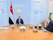 الرئيس السيسى يشدد على محاسبة المتسببين فى أزمة البنزين المغشوش