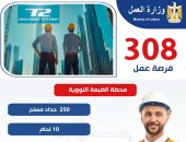 وزير العمل يعلن فرص عمل فى مشروع محطة الضبعة النووية