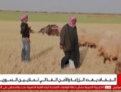 الحقول تموت عطشًا.. خطر الجفاف يتصاعد ويهدد مستقبل الزراعة فى سوريا